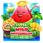 Super Wild Watermelon